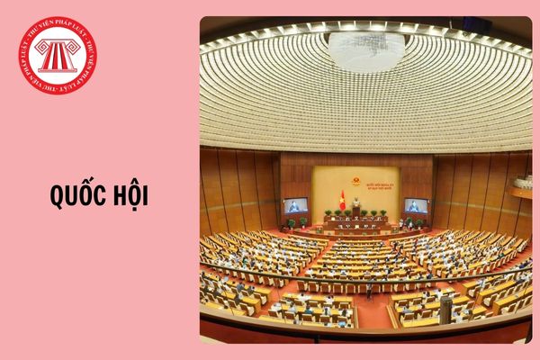 Hỏi đáp Pháp luật