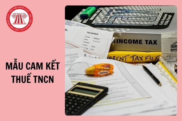 Mẫu cam kết người phụ thuộc không có thu nhập mới nhất 2024 và Cách điền?