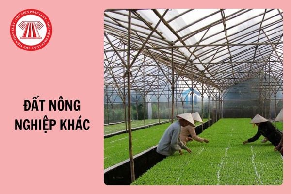 Đất nông nghiệp khác gồm những đất nào? Bị thu hồi đất nông nghiệp được hỗ trợ giải quyết việc làm bao lâu?