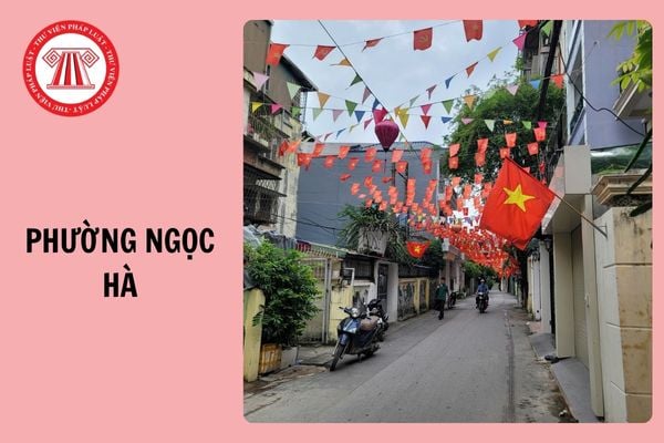 Hỏi đáp Pháp luật