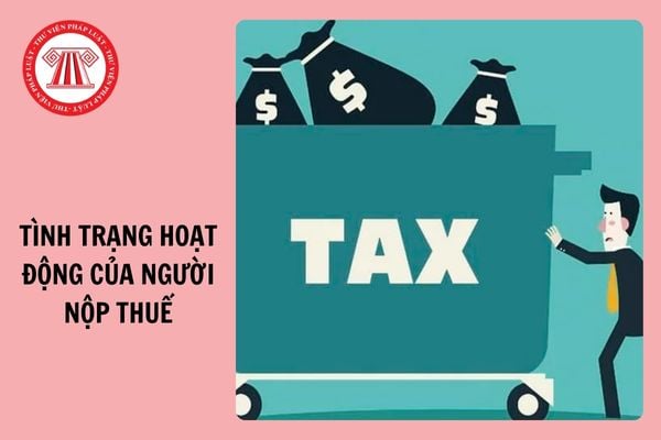 Biên bản xác minh tình trạng hoạt động của người nộp thuế tại địa chỉ đã đăng ký áp dụng từ 6/2/2025?