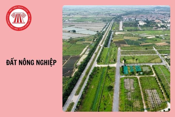 Năm 2025, người dân được phép xây dựng nhà ở tạm trên đất nông nghiệp không?