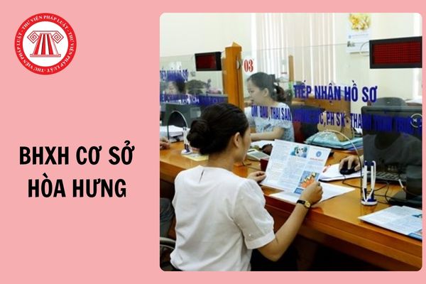 Địa chỉ và số điện thoại BHXH cơ sở Hòa Hưng TP Hồ Chí Minh thế nào?