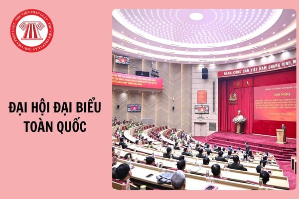 Hỏi đáp Pháp luật