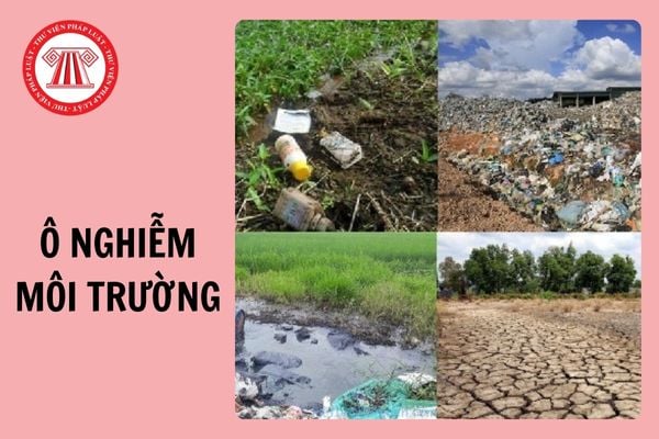 Nghị luận về ô nhiễm môi trường ngắn gọn, hay nhất 2025?