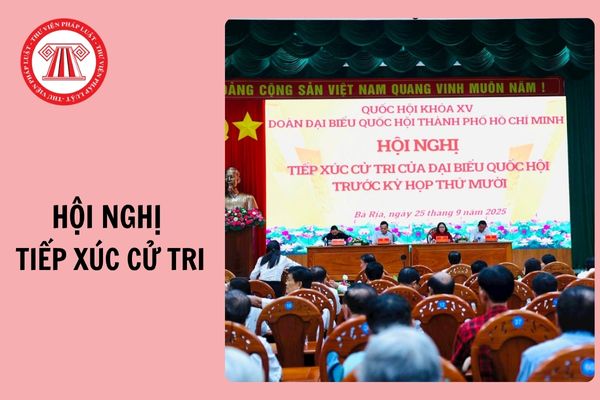 Hỏi đáp Pháp luật