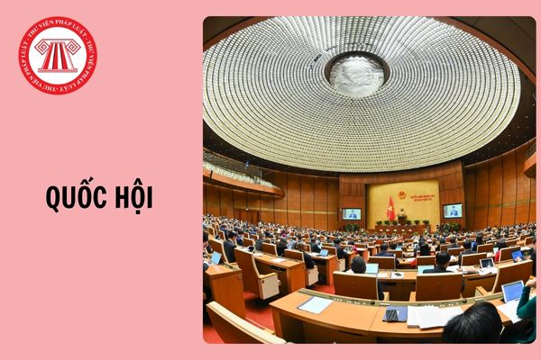 Hỏi đáp Pháp luật