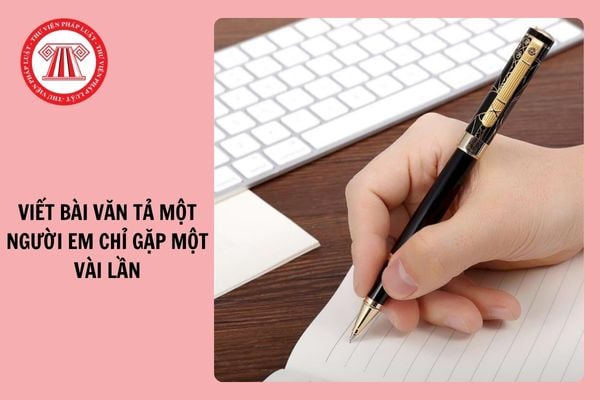 Viết bài văn tả một người em chỉ gặp một vài lần nhưng nhớ mãi lớp 5 hay nhất?