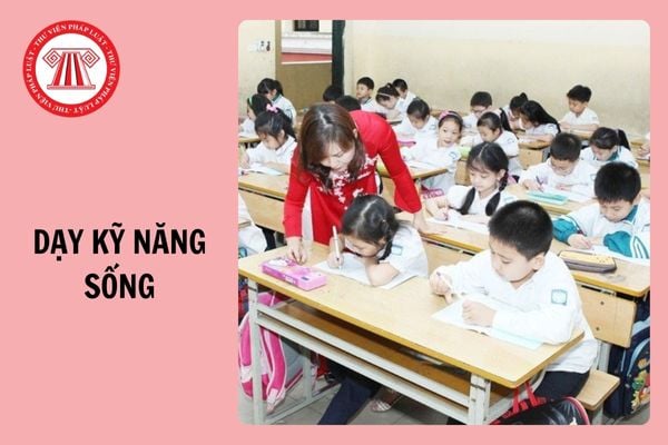 Trường có được liên kết với trung tâm bên ngoài dạy kỹ năng sống không?