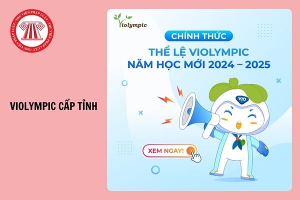 Violympic bao nhiêu điểm là đậu cấp tỉnh năm 2024 - 2025? 