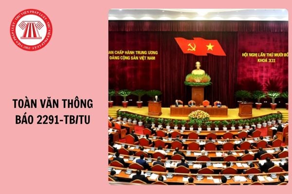 Hỏi đáp Pháp luật