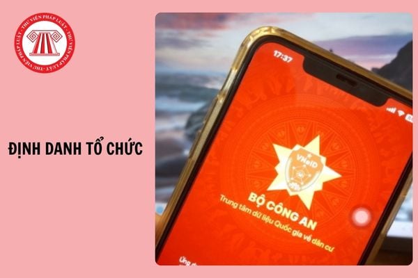 Hỏi đáp Pháp luật