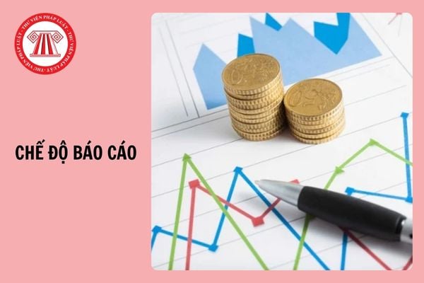 Ban hành Thông tư 91/2024/TT-BTC về quy định chế độ báo cáo thống kê ngành Tài chính?