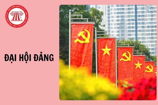 Hỏi đáp Pháp luật