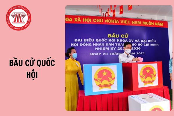Hỏi đáp Pháp luật
