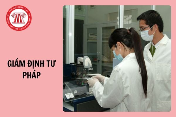 Đã có Thông tư 25/2024/TT-BTTTT quy định về giám định tư pháp trong lĩnh vực thông tin và truyền thông?