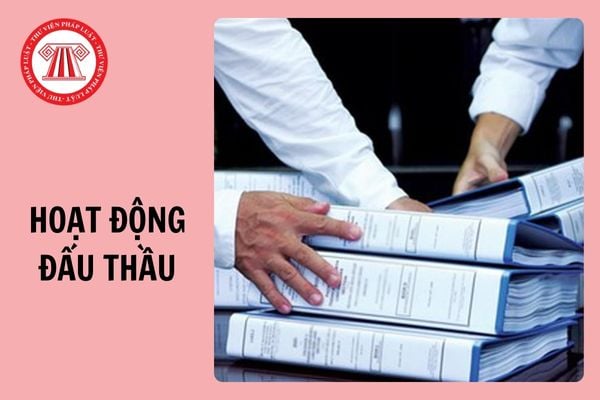 Tải về 06 mẫu kiểm tra hoạt động đấu thầu theo Thông tư 23/2024/TT-BKHĐT?