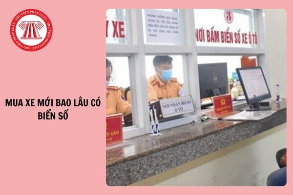 Hỏi đáp Pháp luật