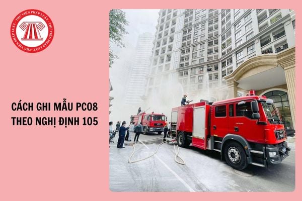 Hỏi đáp Pháp luật