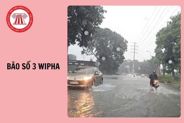 Hỏi đáp Pháp luật