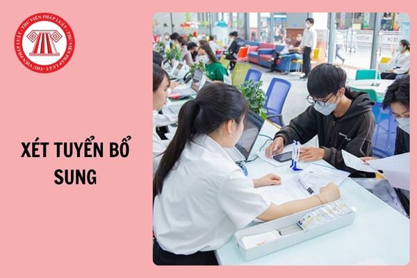 Hỏi đáp Pháp luật