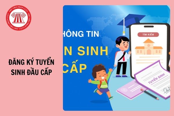 Hỏi đáp Pháp luật
