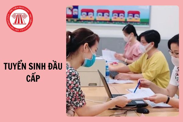 Hỏi đáp Pháp luật