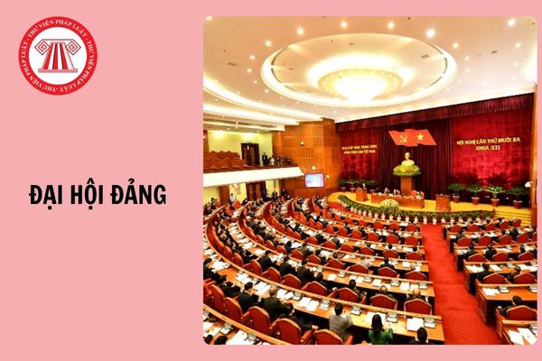 Hỏi đáp Pháp luật