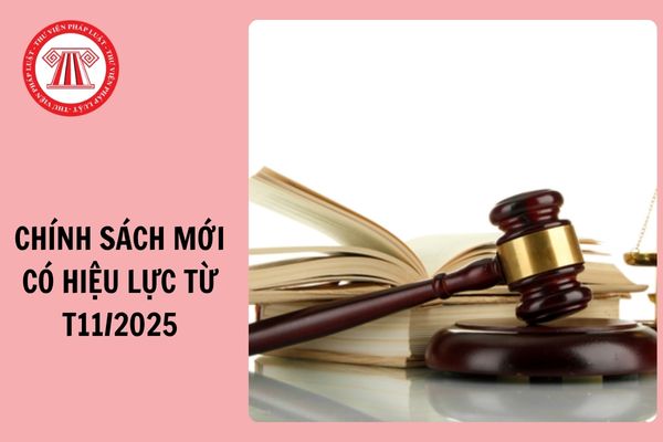 Hỏi đáp Pháp luật