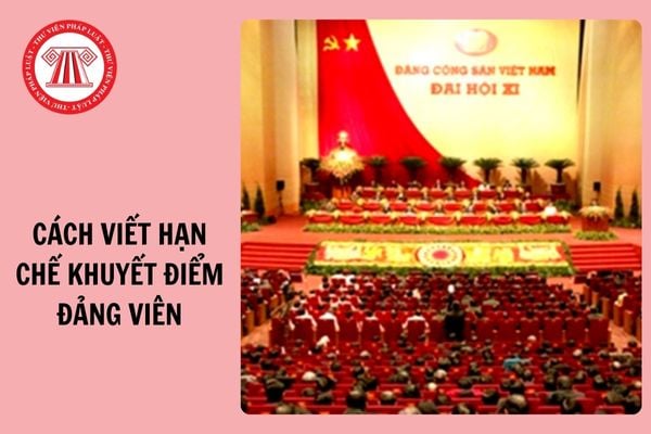 Hỏi đáp Pháp luật