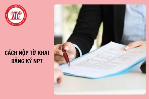 Hỏi đáp Pháp luật