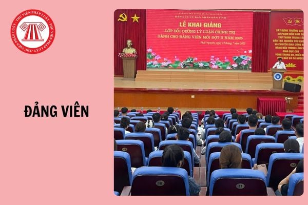 Hỏi đáp Pháp luật