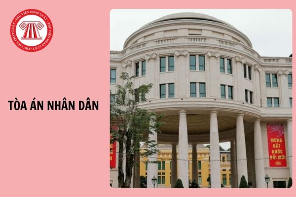 Hỏi đáp Pháp luật