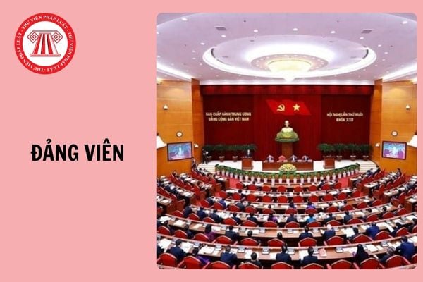 Hỏi đáp Pháp luật