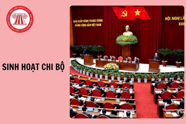 Hỏi đáp Pháp luật