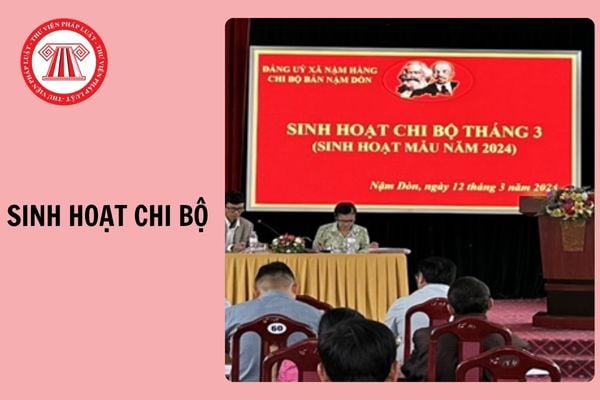 Hỏi đáp Pháp luật