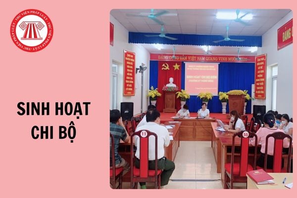 Hỏi đáp Pháp luật