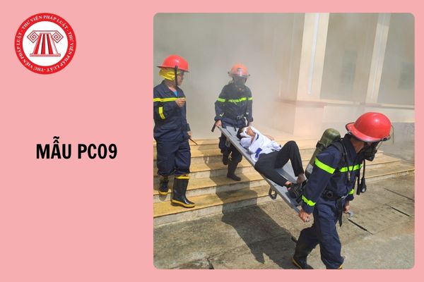 Hỏi đáp Pháp luật