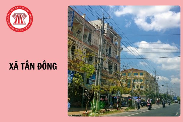 Xã Tân Đông tỉnh Tây Ninh gồm những xã nào hình thành sau sắp xếp?