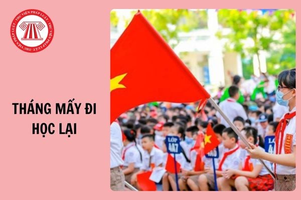 Hỏi đáp Pháp luật