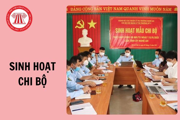Hỏi đáp Pháp luật