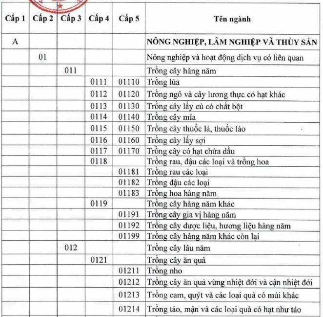 https://cdn.thuvienphapluat.vn/uploads/Hoidapphapluat/2025/NTKL/01102025/pl-1.jpg