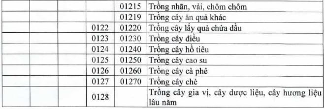 https://cdn.thuvienphapluat.vn/uploads/Hoidapphapluat/2025/NTKL/01102025/pl-2.jpg