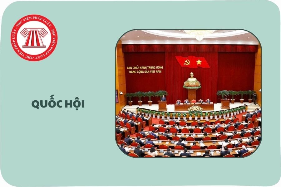 Hỏi đáp Pháp luật