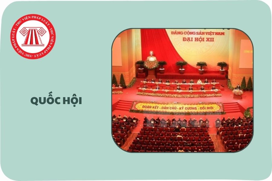 Hỏi đáp Pháp luật