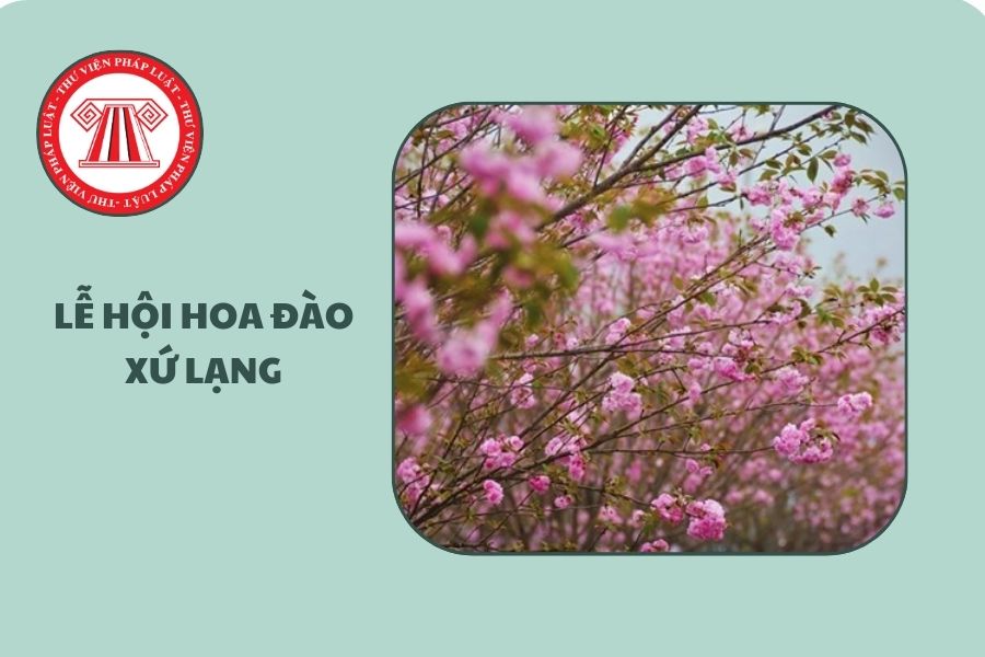 Lễ hội Hoa Đào Xứ Lạng năm 2026 ngày nào?