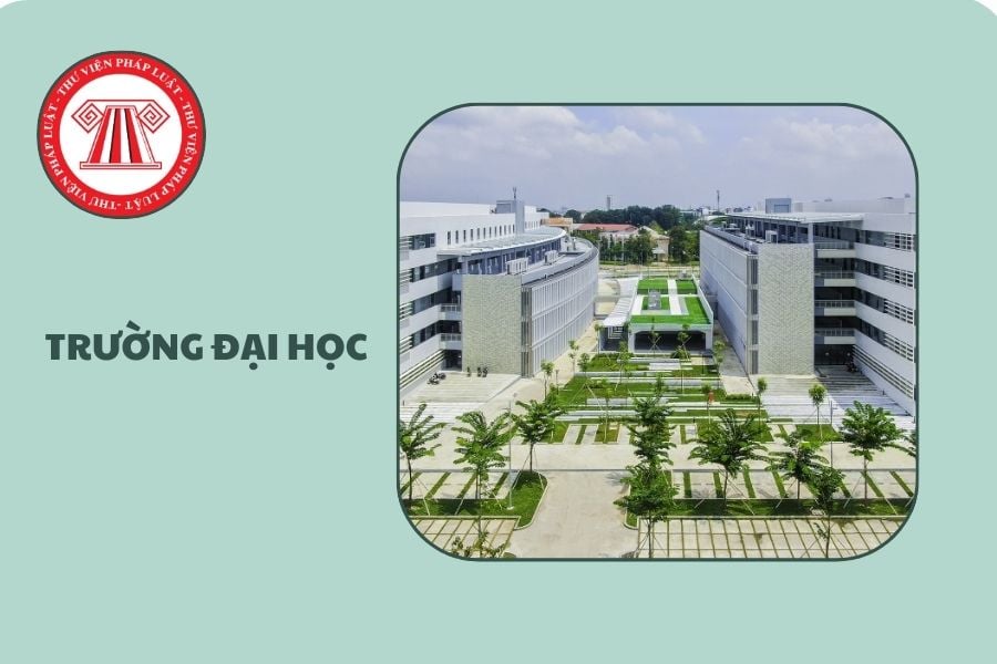 Phương án tuyển sinh các trường đại học 2026 dự kiến ra sao?