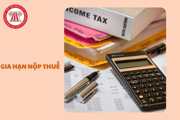 Hỏi đáp Pháp luật