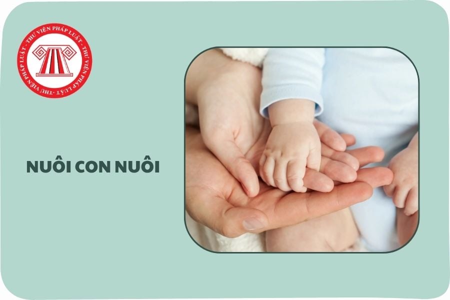 Hỏi đáp Pháp luật
