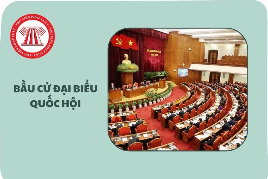 Nguyên tắc bỏ phiếu theo quy định của Luật Bầu cử đại biểu Quốc hội và đại biểu Hội đồng nhân dân là gì?